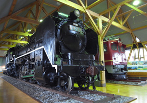 D51